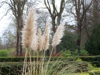 /album/photo-gallery-gardens/dev-046-jpg1/